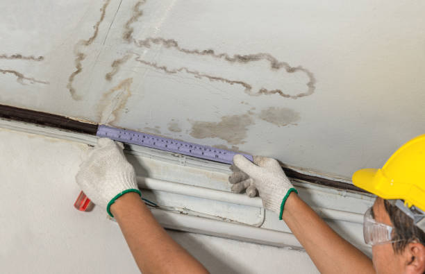 Reliable Burst Pipe Cleanup contractor in Cross Plains, TN by Water Damage Irwin